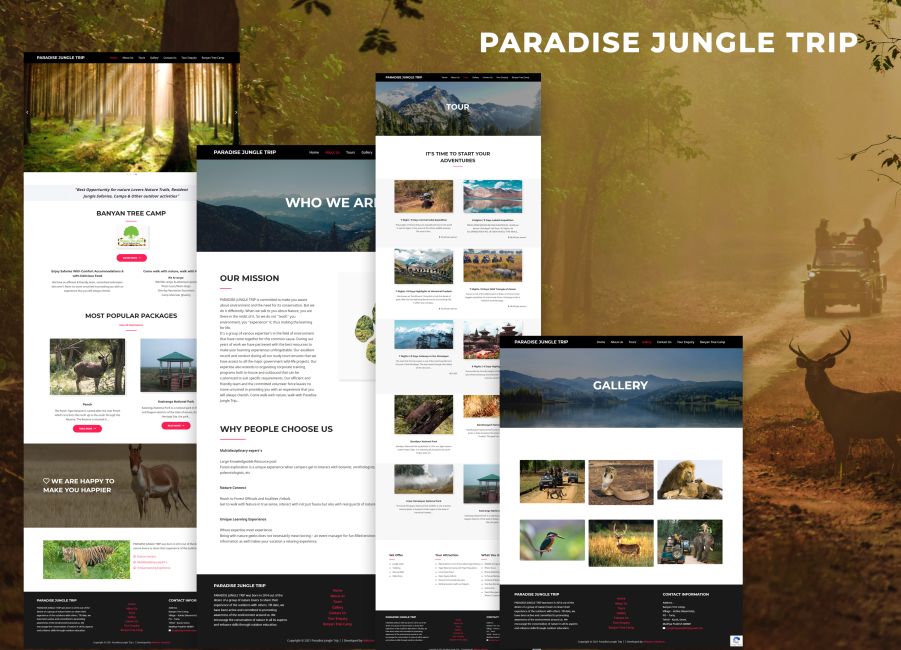 Paradise Jungle Trip